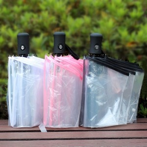 韓國透明彩邊全自動傘-DoubleBear