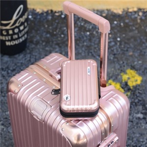 亮面迷你硬殼包-DoubleBear