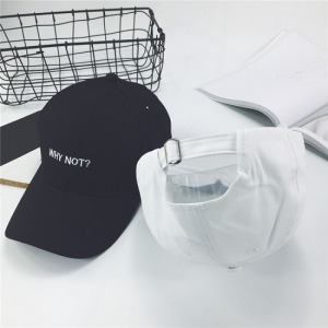 Why not帽子-DoubleBear