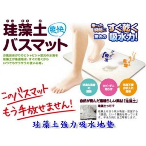 日本矽藻土腳墊浴室防滑墊-DoubleBear