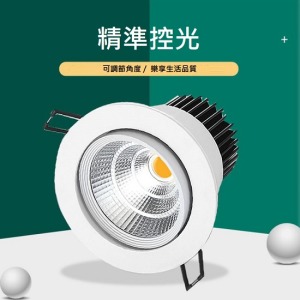 精準控光可調嵌入式LED聚光燈-DoubleBear