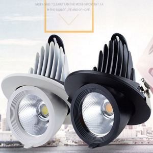 嵌入式可旋轉cob象鼻燈-DoubleBear