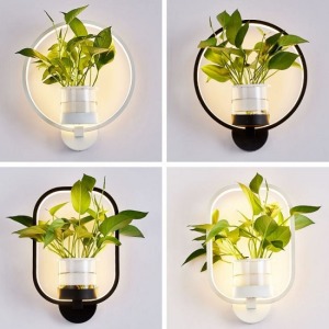 創意新中式水培植物壁燈-DoubleBear