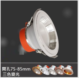 5W三色變光嵌燈-DoubleBear