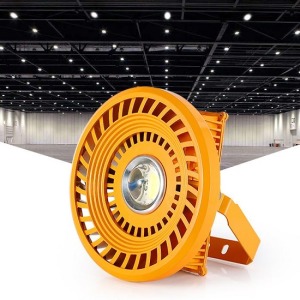 防爆防蚊蟲LED投射照明燈-DoubleBear