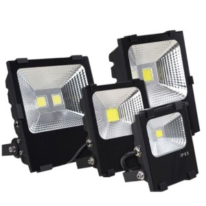 A極致黑LED投射照明燈-DoubleBear