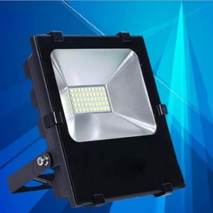 B極致黑LED投射照明燈-DoubleBear