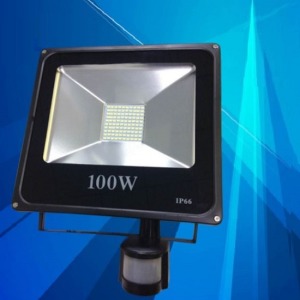 LED紅外線感應設計投射照明燈-DoubleBear