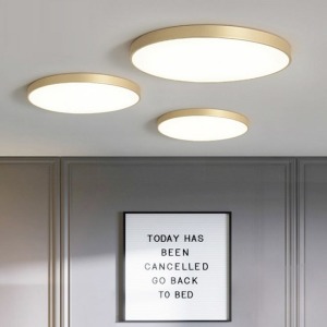 北歐風金色薄型無極調光吸頂燈-DoubleBear