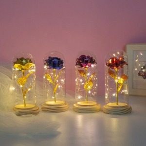 情人首選玻璃燈永生玫瑰花-DoubleBear