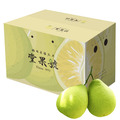 【40年金質獎老欉文旦】10台斤一箱 | 堂果號 | 含運 | 開發票-大量採購請私訊優惠 | 老欉樹有認證 | 預計9/8按排單順序出貨_1