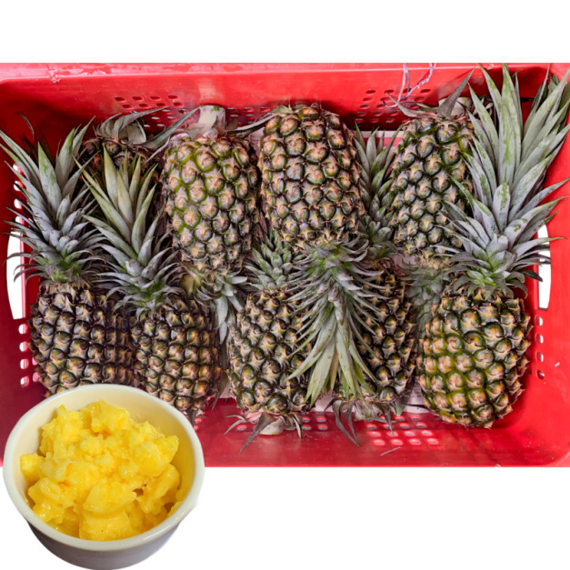 【次品17號金鑽鳳梨】22台斤 含運 | 林內鳳梨博士 | 價格超划算 | 鳳梨酥餡、鳳梨飲品、鳳梨冰等 | 預計5月初開始出貨