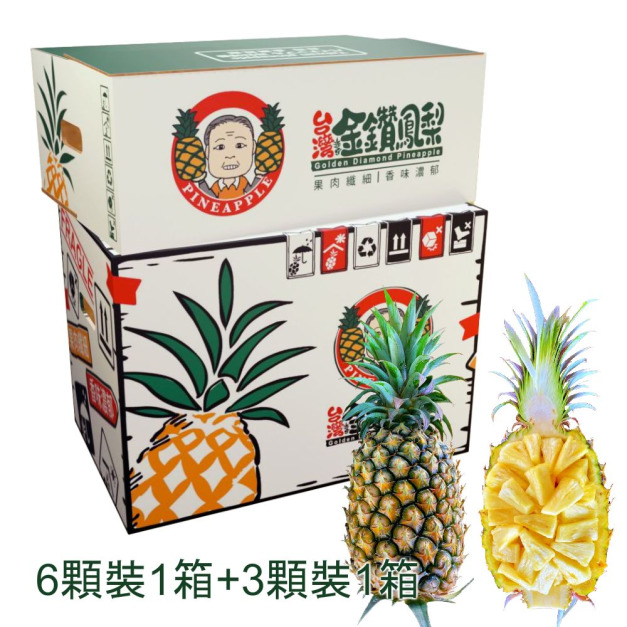組合【3顆裝＋6顆裝】林內鳳梨博士：特優金鑽鳳梨 精美包裝 產地直送