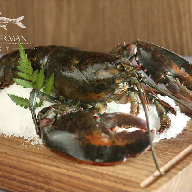 波士頓龍蝦 Boston Lobster