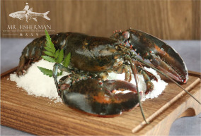 波士頓龍蝦 Boston Lobster