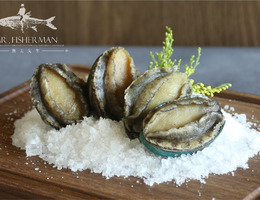 鮑魚（帶殼） Abalone