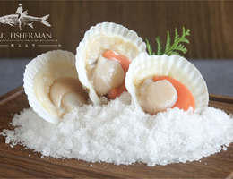 扇貝 Scallop / Fan Shell
