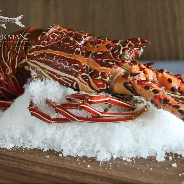 熟凍龍蝦 Cooked Lobster