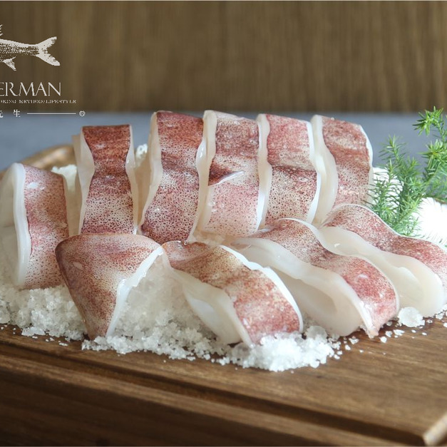 透抽圈 (中卷、鎖管、槍烏賊) Neritic Squid