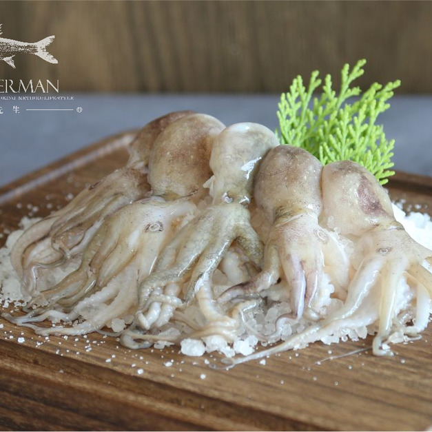 小章魚 Little Tako / Octopus