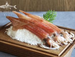 透抽 (中卷、鎖管、槍烏賊) Neritic Squid