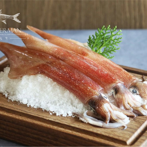 透抽 (中卷、鎖管、槍烏賊) Neritic Squid