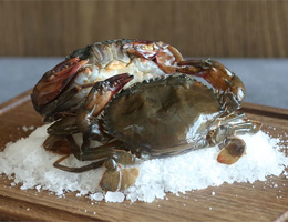 軟殼蟹 Soft Crab