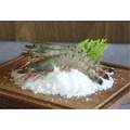 草蝦 Tiger Prawn