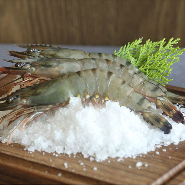 草蝦 Tiger Prawn