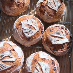 蔓越莓腰果酸種鄉村