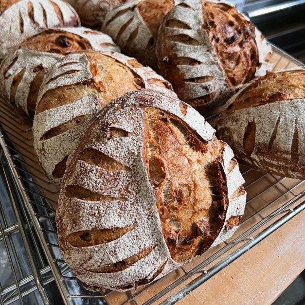 無花果核桃酸種鄉村