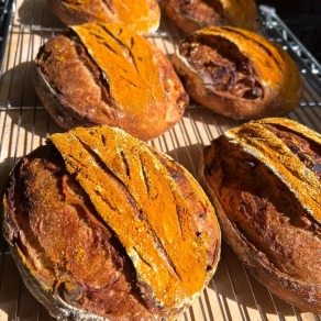 百香果烤夏威夷豆酸種鄉村