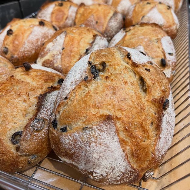 雙色橄欖洛代夫