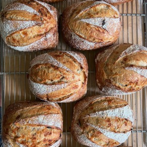 剝皮辣椒乳酪酸種鄉村