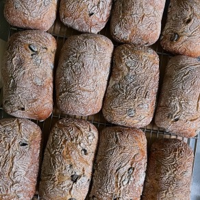 雙色橄欖巧巴達