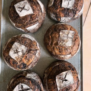 桃香鐵觀音酸種鄉村