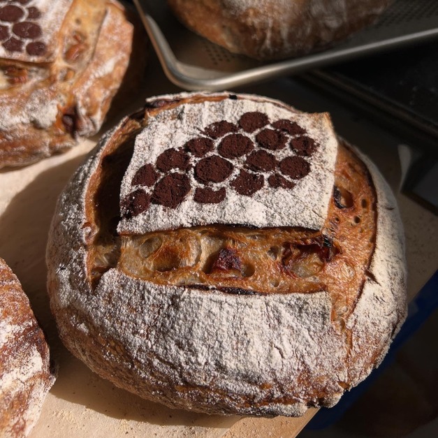 台灣龍眼核桃酸種鄉村