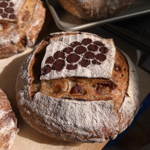 台灣龍眼核桃酸種鄉村