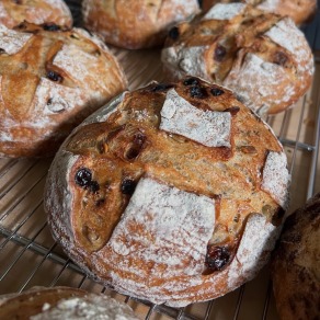 南瓜籽葡萄酸種鄉村