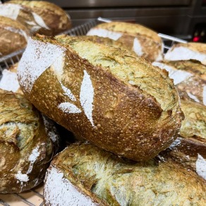 日本靜岡抹茶酸種鄉村