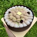 西西里晨光 6吋 (檸檬、咖啡、堅果、巧克力)_1