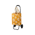 【日本cocoro】Hailey 印花系列保溫保冷摺疊購物車-22L-多色可選_1