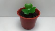 幸運草盆栽造型甜點