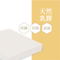 麗雪竹炭硬式獨立筒_5