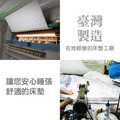 麗雪竹炭硬式獨立筒_6