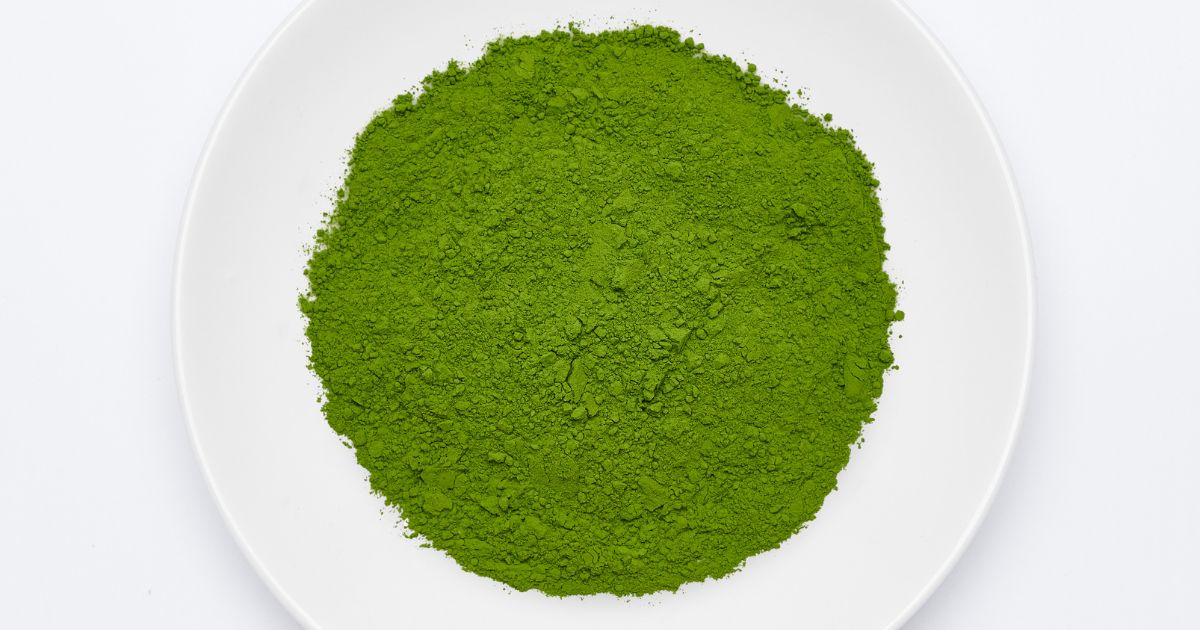 什麼是抹茶?茶道抹茶粉怎麼沖泡?