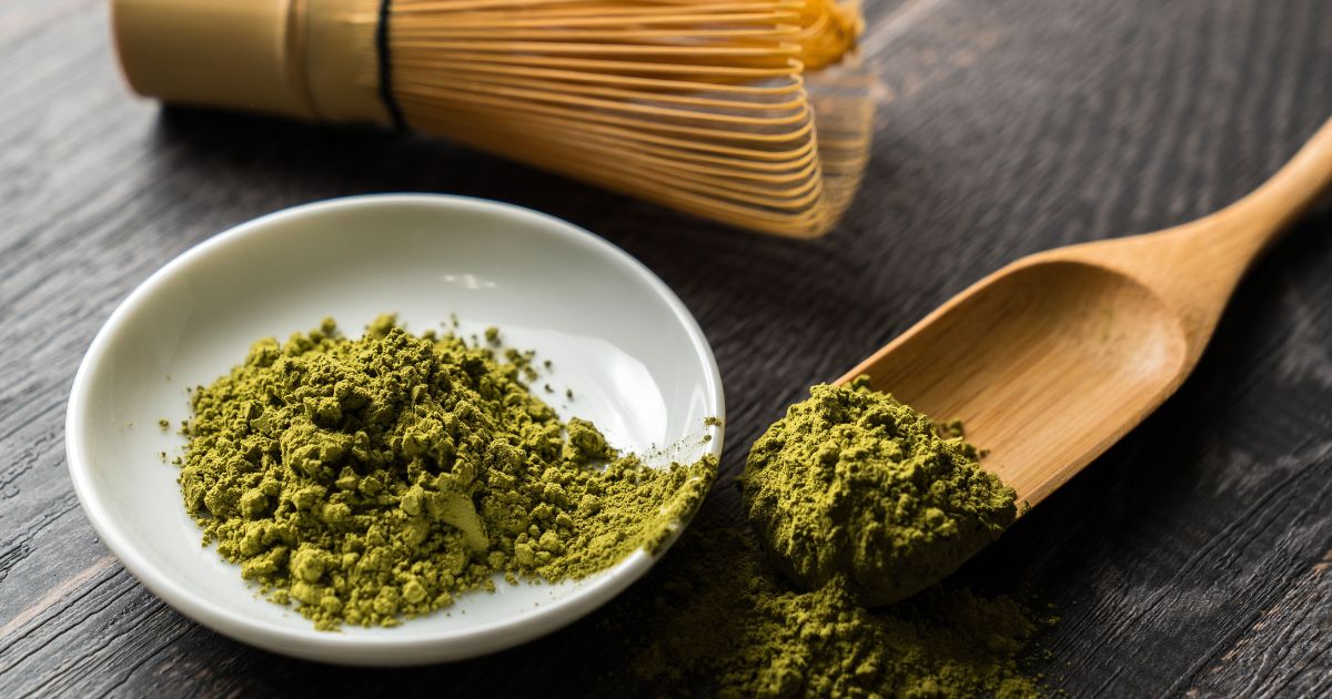 【茶粉介紹｜茶粉推薦怎麼用？風味保存大公開】