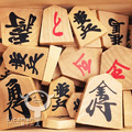 日本將棋｜棋駒｜將棋駒 ( 琉球木荷、漆書、黑升變紅 )_1