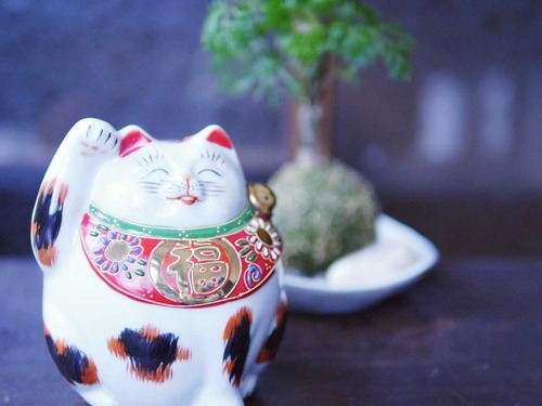 九谷燒 招財福貓