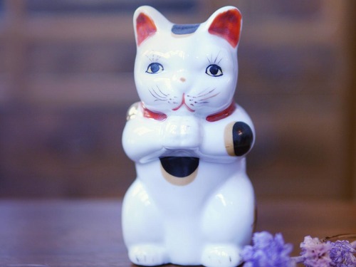 合掌拜託招財貓